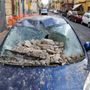 Terremoto 4.7 ai Campi Flegrei e sciame sismico, raffica di scosse Terremoto 4.7 ai Campi Flegrei e sciame sismico, raffica di scosse
