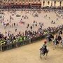 Palio Siena, il Nicchio torna a vincere dopo 28 anni: Tittia firma il cappotto personale Palio Siena, il Nicchio torna a vincere dopo 28 anni: Tittia firma il cappotto personale