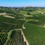 &quot;Qualità e diversificazione: da qui passa il futuro del vino cooperativo&quot;