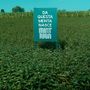 Mintriga: tutte le declinazioni della menta Mintriga: tutte le declinazioni della menta
