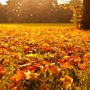 L'autunno stenta a partire ad Asti: nei primi dieci giorni di ottobre sole e caldo fuori stagione L'autunno stenta a partire ad Asti: nei primi dieci giorni di ottobre sole e caldo fuori stagione