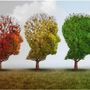 immagine tratta da Google