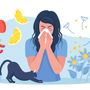 immagine tratta da Google