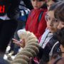 Le immagini della mattinata (Merphefoto)