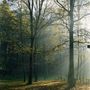 Il Parco di Rocchetta