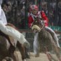 Palio, nella notte a Legnano scompare l'impianto di addestramento: "Un gesto vile che colpisce la tradizione"
