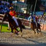 Il Palio di Legnano (Ph Legnano News) Il Palio di Legnano (Ph Legnano News)