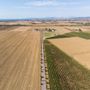Agroteam, competenza e cura per la soddisfazione del cliente