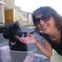 Cane che abbaia non morde… ma disturba i vicini di casa