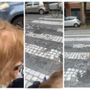 &quot;Sistemate quell'attraversamento: finisce contro un albero e per noi disabili è un problema enorme!&quot;