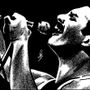 Il ritratto di Freddy Mercury di Barruscotto