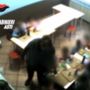 Asilo “L’Albero dei Ragazzi”, parla la difesa: “Le due educatrici non sono più operative : la struttura continua le sue attività&quot;