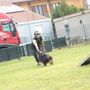 Ricerche sotto le macerie, dall’Aquila a Rigopiano: ora i cani di Volpiano hanno una scuola rinnovata [VIDEO]