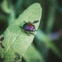 Foto di Richie Bettencourt - tamite Unsplash