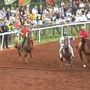 Palio di Piancastagnaio, Voltaia torna al trionfo dopo sette anni