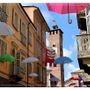 Ph Efrem Zanchettin - Merfephoto