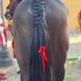 Il fiocco rosso contro la violenza sulle donne sul cavallo del Capitano del Palio Gianbattista Filippone