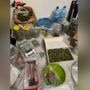 La droga e il materiale per il confezionamento posto sotto sequestro
