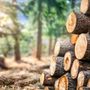 Dazi USA sul legno, Confagricoltura Piemonte lancia l'allarme: &quot;Grave zavorra per 3.500 aziende&quot;