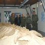 Al Museo Paleontologico di Asti un pomeriggio tra fossili, gioco e avventura