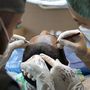 Trapianto capelli Turchia: come pianificare bene e riconoscere una clinica affidabile