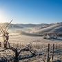 Colpo di coda dell'inverno: in arrivo aria artica con forti venti e intense gelate su Astigiano e Monferrato Colpo di coda dell'inverno: in arrivo aria artica con forti venti e intense gelate su Astigiano e Monferrato