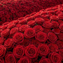 Viarigi dà il via a "Rosso di Rose 2026": un mese di cultura e natura in collina