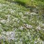 Maltempo sull’Astigiano: temporali e grandine nel pomeriggio