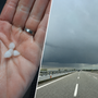 Immagini tratte dal canale Telegram di Dati Meteo Asti
