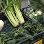 Asti, ogni lunedì il mercato agricolo Cia in piazza Alfieri. Intanto la ricerca Cia Trend fotografa il paradosso del Made in Italy [VIDEO]