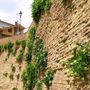 Viviamo in un posto bellissimo sempre più fotografato