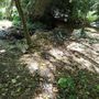 Parco Rio Crosio, allarme dei cittadini: “Fossi ostruiti e rischio frane”
