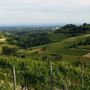 “PoMonf Verde per Giovani” fa tappa ad Albugnano: il 21 giugno una notte di stelle e vino sul Balcone del Monferrato “PoMonf Verde per Giovani” fa tappa ad Albugnano: il 21 giugno una notte di stelle e vino sul Balcone del Monferrato