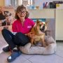 Cambiare rotta per ritrovare se stessi con professionalità e amore per gli animali Cambiare rotta per ritrovare se stessi con professionalità e amore per gli animali