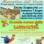 Mercatino dell’usato e corsa di lumache: domenica 7 giugno a Incisa Scapaccino