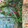 Viviamo in un posto bellissimo pieno di piccoli, grandi valori Viviamo in un posto bellissimo pieno di piccoli, grandi valori