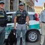 Unità cinofila antiveleno, la Provincia schiera Hero contro le esche avvelenate Unità cinofila antiveleno, la Provincia schiera Hero contro le esche avvelenate