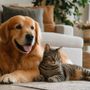 Pulci e zecche negli animali domestici, quando valutare Duoflect con il veterinario Pulci e zecche negli animali domestici, quando valutare Duoflect con il veterinario
