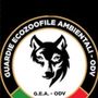 Ami gli animali? Gea-Odv apre le iscrizioni al 3° corso 2026 per Guardie Zoofile Ami gli animali? Gea-Odv apre le iscrizioni al 3° corso 2026 per Guardie Zoofile