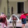 "E che sia...Spettacolo!!!", la decima edizione della rassegna teatrale amatoriale si avvia alla conclusione "E che sia...Spettacolo!!!", la decima edizione della rassegna teatrale amatoriale si avvia alla conclusione