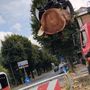 Pioppo abbattuto in corso XXV Aprile, l’appello di Europa Verde: "Si ripianti un albero nella rotonda" Pioppo abbattuto in corso XXV Aprile, l’appello di Europa Verde: "Si ripianti un albero nella rotonda"
