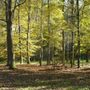Il parco di Rocchetta Tanaro
