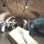 Viaggio immaginario sulle onde: "Notte al Museo" torna l'11 settembre al Paleontologico Viaggio immaginario sulle onde: "Notte al Museo" torna l'11 settembre al Paleontologico