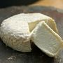 Allerta alimentare per Escherichia coli: ritirato un lotto di formaggio Roccaverano