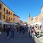 Alcune immagini di Agrifiera Alcune immagini di Agrifiera