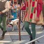 Dopo il Palio, le critiche di Miroglio: "Angosciante vedere un cane stremato e assetato nel corteo, era evitabile?" Dopo il Palio, le critiche di Miroglio: "Angosciante vedere un cane stremato e assetato nel corteo, era evitabile?"