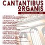 “Cantantibus Organis”, la rassegna riparte da Castellero “Cantantibus Organis”, la rassegna riparte da Castellero