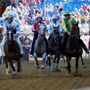 Le immagini del Palio (Ph Rozzino Filippo) Le immagini del Palio (Ph Rozzino Filippo)