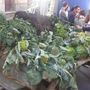 Fuoriporta: a Margarita (Cn) torna la Sagra d’l Coj: tre giorni di festa, tradizione e sapori per la 21ª edizione