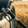 Caro gasolio e crisi idrica, gli agricoltori piemontesi chiedono aiuto alla Regione Caro gasolio e crisi idrica, gli agricoltori piemontesi chiedono aiuto alla Regione